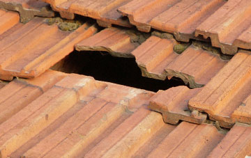 roof repair Bogallan, Highland